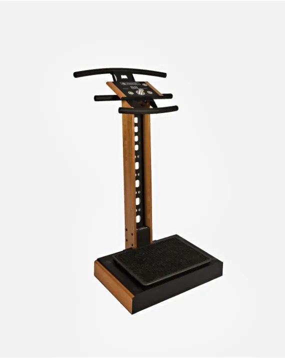 The LifetimeVibe whole body vibration machine